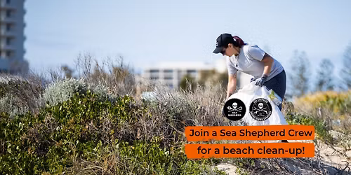 NT | Darwin - Casuarina Beach clean-up: Marine Debris Campaign 