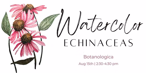 Watercolor Workshop - Echinacea