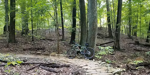 Waverly Park Dig Day