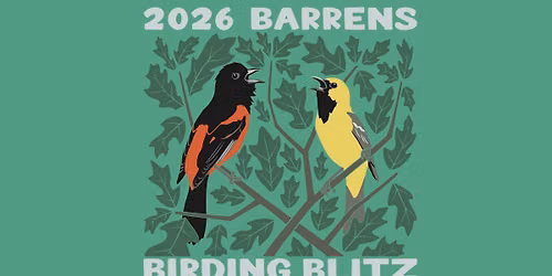 Barrens Birding Blitz