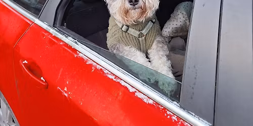 Rummage In The Range, The Carlton Club