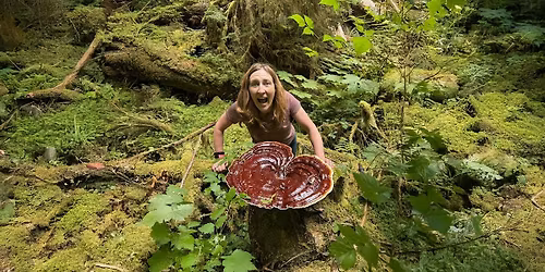 Mushroom Mania:  A Fungal Foray Further Afield