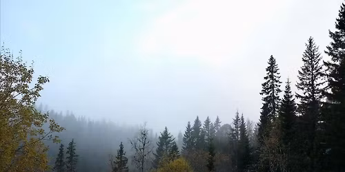 S\u00f8ndagsbadstue\/Kurvfest p\u00e5 Lian\u2728\ud83c\udf41\u2728