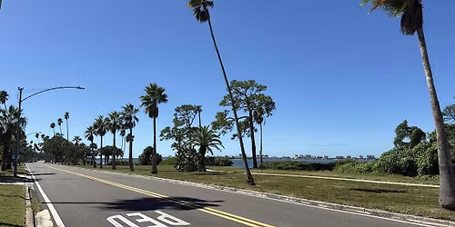 Gulfcoast Coffee Morning Walk