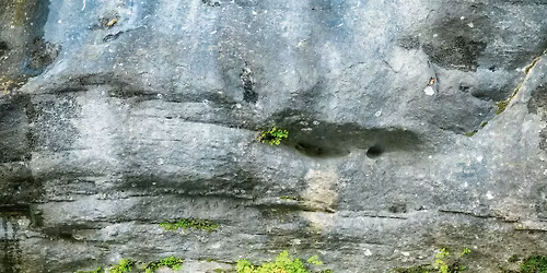 Nature Photography Meetup