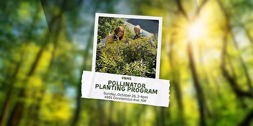 Volunteer with the VNMS Pollinator Planting Program!