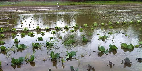 Disaster Risk Management Training for Farmers (Part 2 of 2)