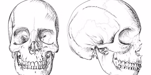 Intraoral Manual Therapy Class