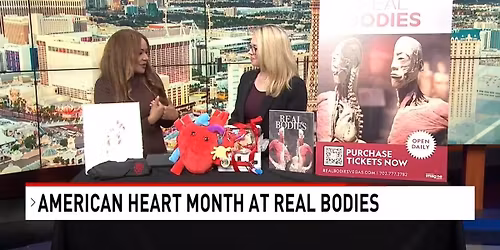 Real Bodies - Las Vegas