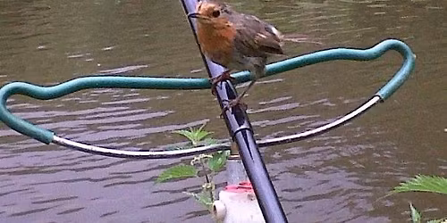 MADAC Christmas Match