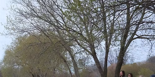 Dawn Chorus |Mississauga