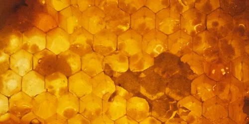 Honey Harvest Party