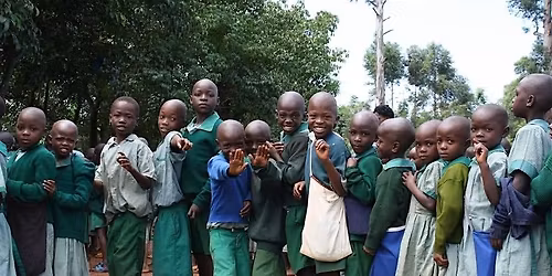 CNFA - A Year to Celebrate