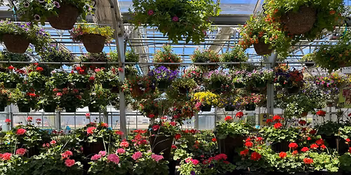 \ud83c\udf3cSpring Open House\ud83c\udf3c