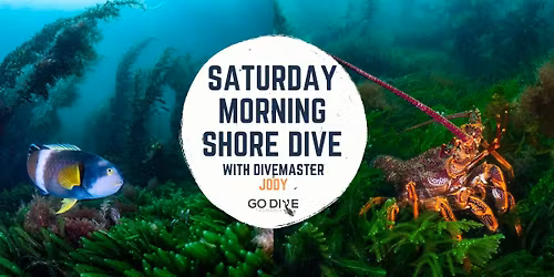 Saturday Morning Shore Dive, Blackmans Bay North - With Divemaster Jody