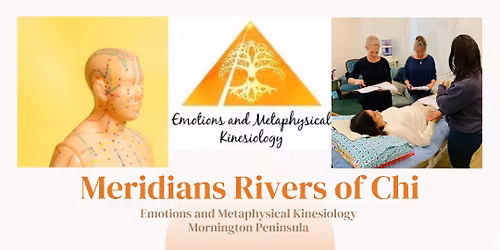 Meridians Rivers of Chi Kinesiology