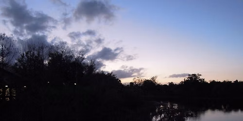 Night Hike: Wings in the Dark, Bats & Owls