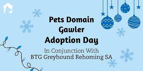 Greyhound Adoption Day | BTG Greyhound Rehoming SA