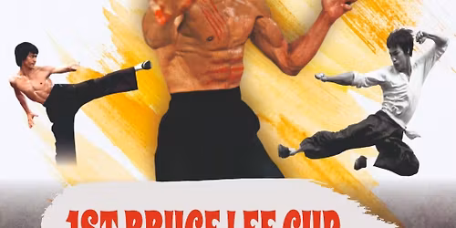 Bruce lee Cup karate championship 2025 
