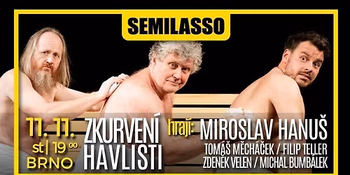 ZKURVEN\u00cd HAVLISTI