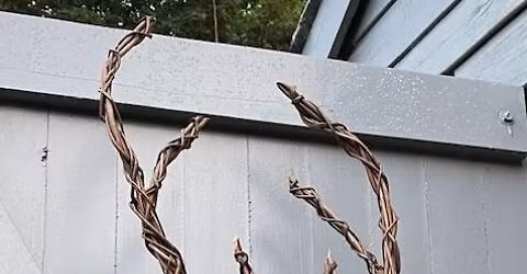 Weave a Willow Stag or Deer Head