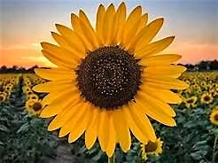 Wine Down Wednesday: Sip, Connect & Recharge