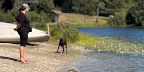 Dog-Friendly Day Retreat: Tails of Adventure