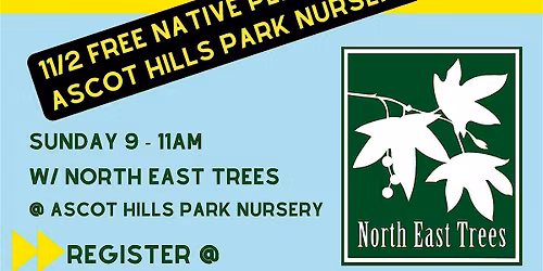 Native Plant & Seed Propogation Classes - FREE @ Ascot Hills Park
