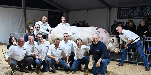 Bulls' presentation