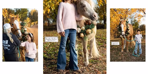 Holiday Photos with horses at Silverwind in Edmond,OK 