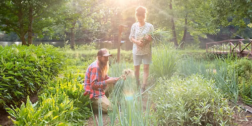 August Garden Volunteer Day