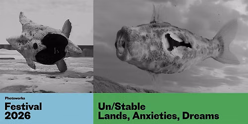 Conference : Un\/Stable: Lands, Anxieties, Dreams