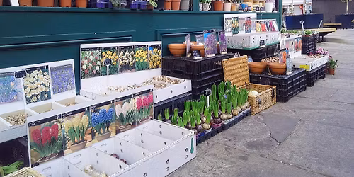 Bulb Lasagne Workshop