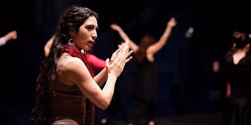 Stage Flamenco, Karine Herrou Gonzalez