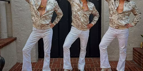 Sunday Funday w\/ Bee Gees Fever