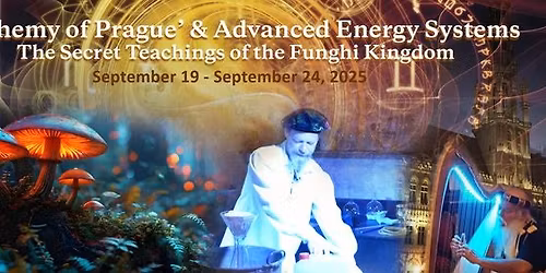 The Science of Transmutation & Fractal Energy Fields