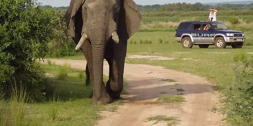 Red Chilli Murchison Falls 3 Day Falls and Game Safari at $370pp