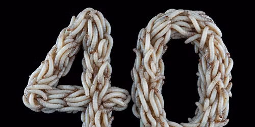 Celebrating 40 years....