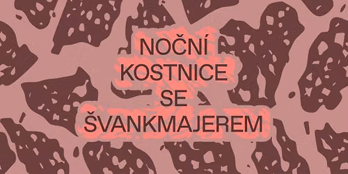 \u0160vankmajerova Kostnice v Kostnici \ud83d\udc80