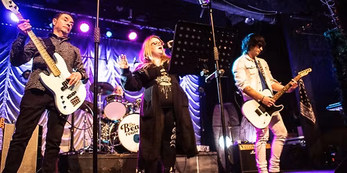 Visitors gig The Wheatsheaf Leighton Buzzard 