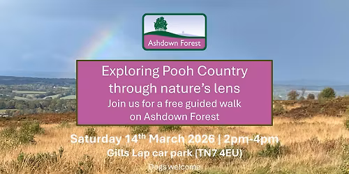 Guided walk: Exploring Pooh country through nature's lens