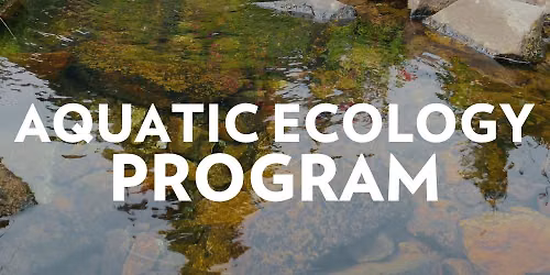 Foothills Naturalist Aquatic Ecology Exploration: Henry Fork River