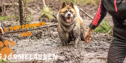 Gj\u00f8rmelabben Rogaland 2026