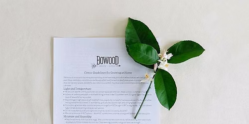 Growing Citrus