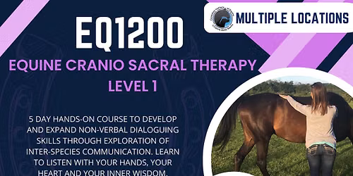 EQ1200: Equine Cranial Sacral Therapy Level 1