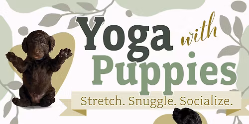 Yoga with Puppies