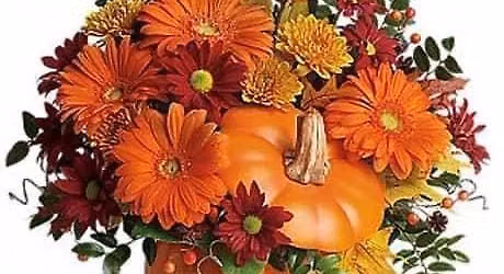 Ceramic pumpkin workshop