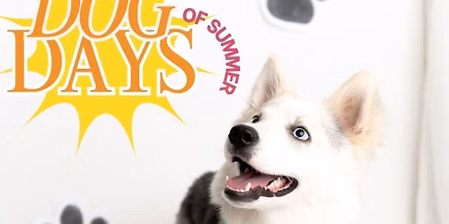 DOG DAYS of Summer! 