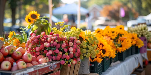 Thursday Summer Market