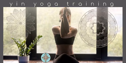 \u2728 Yin Yoga Training 